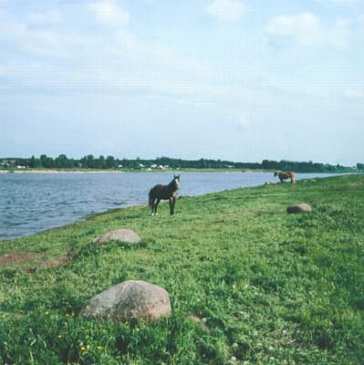 Река Ловать.